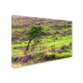 thumbnail image 3 of Trademark Fine Art "Patterns" Canvas Art by Philippe Sainte-Laudy, 3 of 4