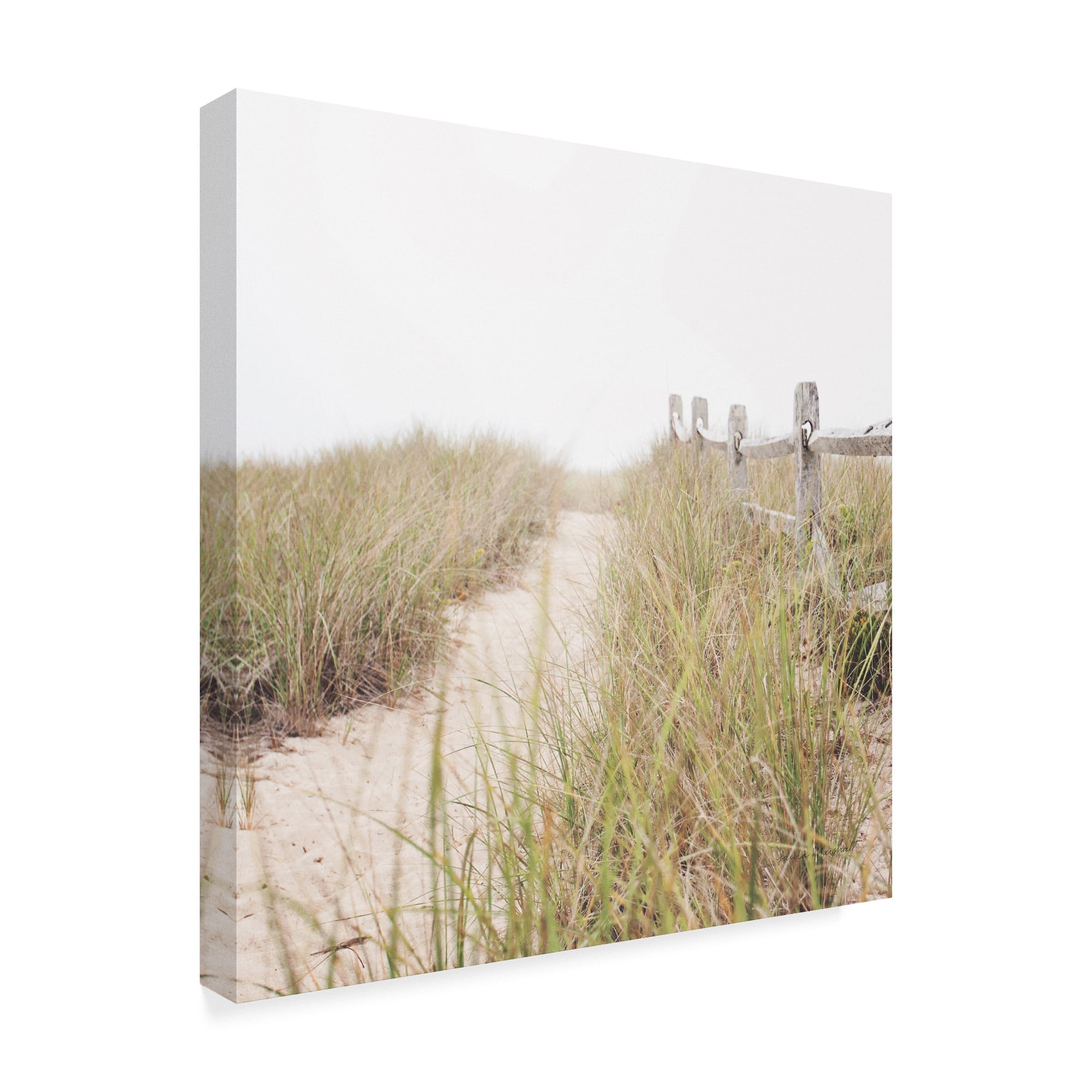 Trademark Fine Art 'To the Beach Path' Canvas Art by Laura Marshall