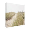 thumbnail image 2 of Trademark Fine Art 'To the Beach Path' Canvas Art by Laura Marshall, 2 of 3