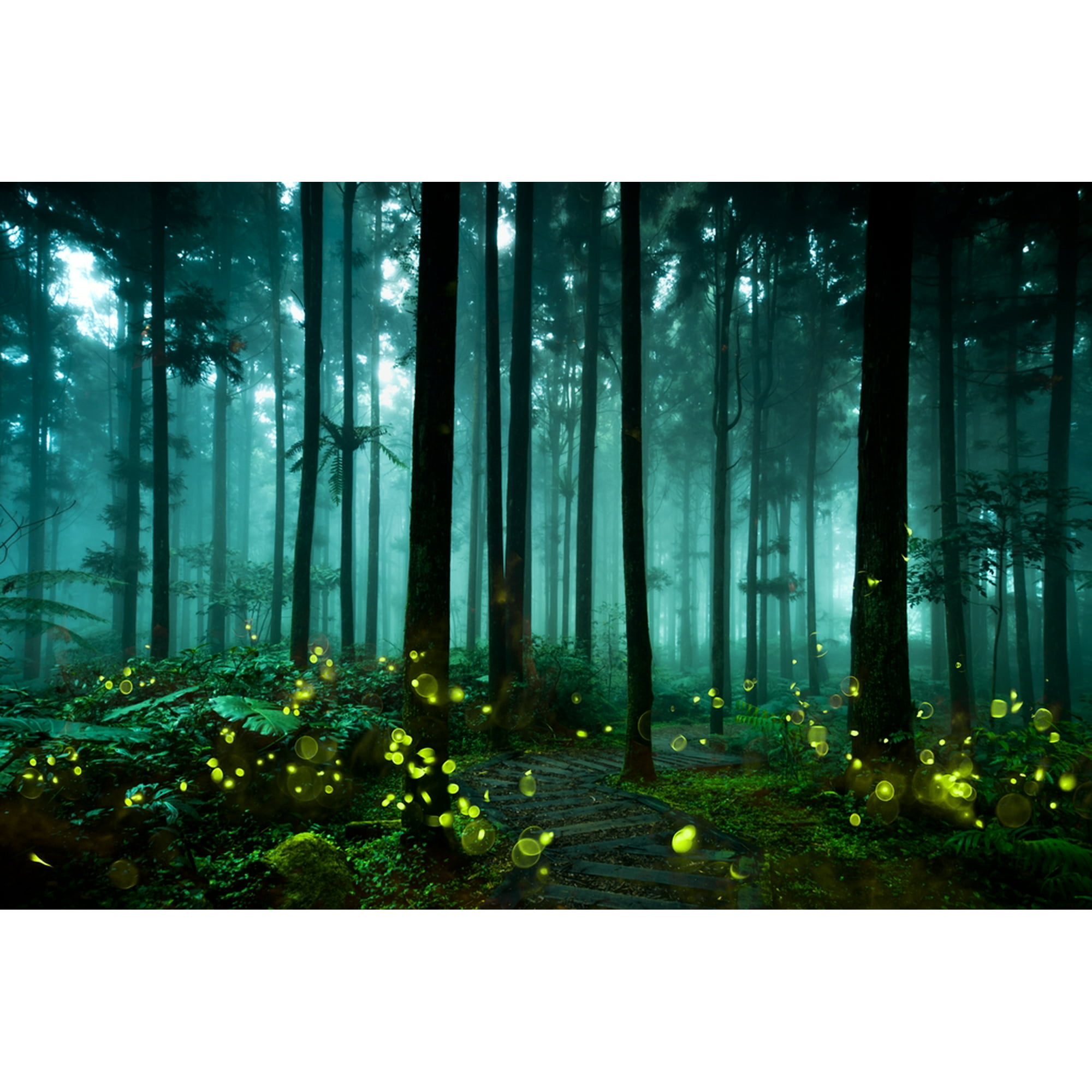 fireflies nature wallpaper