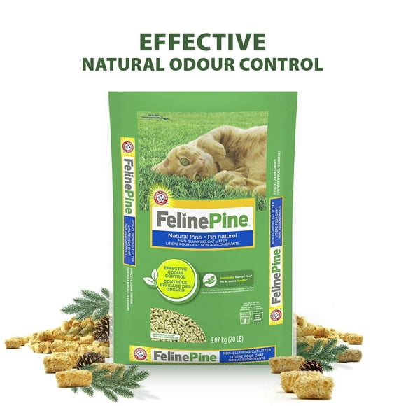 Arm & Hammer Feline Pine Non-Clumping Natural Cat Litter, 9.07 KG, Natural Pine Scent, Effective Odour Control, Kitten Safe, Natural Pine
