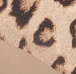 Leopard Print