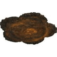 thumbnail image 3 of Ekena Millwork 25 5/8"OD x 1"P Shell Ceiling Medallion, Hand-Painted Rust, 3 of 6