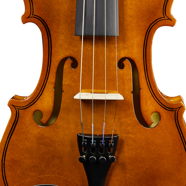 3/4 Acoustic Violin with Hard Case, Violin Bow, Shoulder Rest, Rosin, Extra Strings and Sourdine