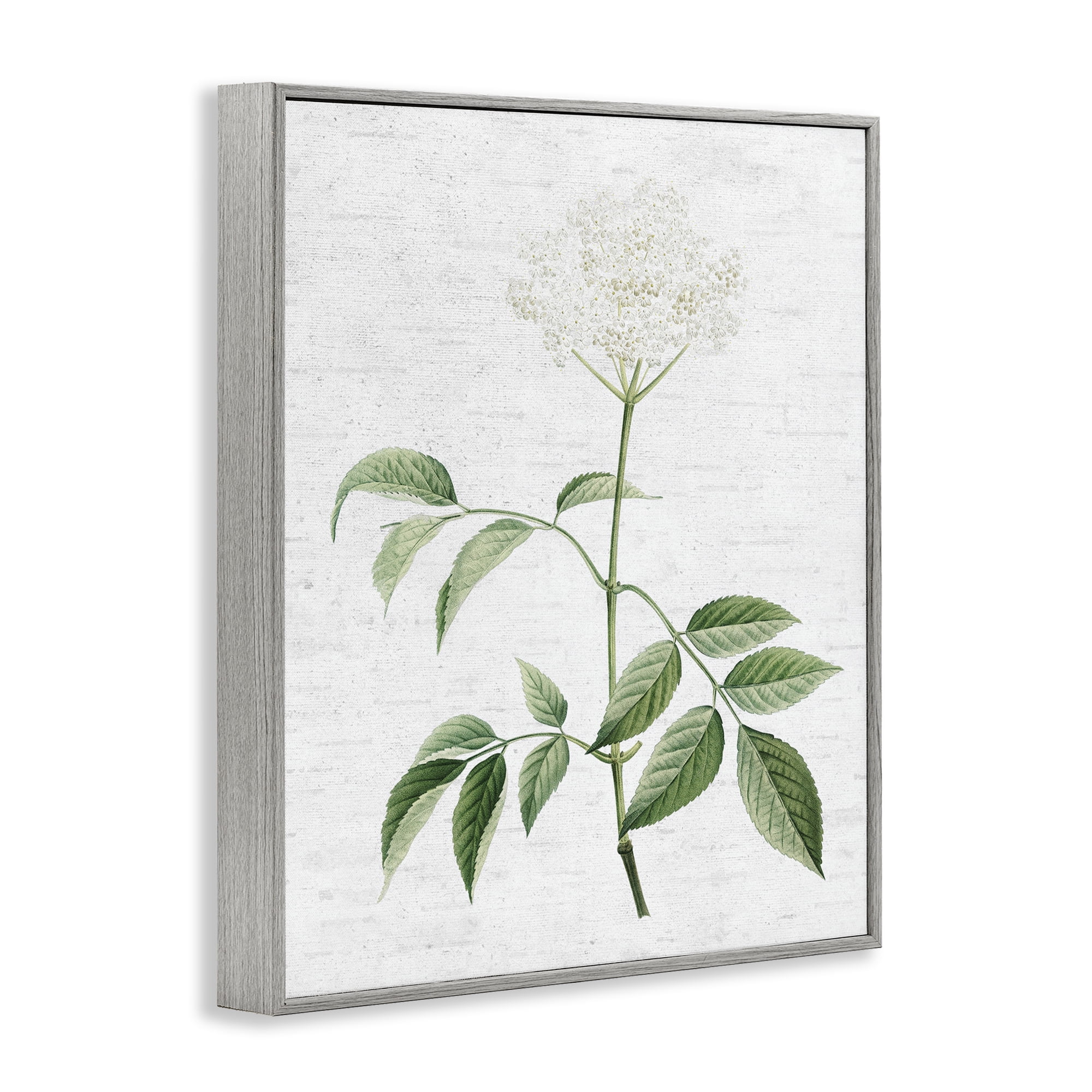 Stupell Industries Subtle Neutral Flower Botanical & Floral Painting Gray Framed Art Print Wall Art, 24 x 30
