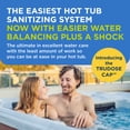 thumbnail image 2 of FROG @ease Floating System and Balancing Starter Kit for Hot Tubs with 1 Pack of FROG Maintain - Self-Regulating Hot Tub Sanitizer and Water Balancer Chemicals - Maintenance Bundle, 2 of 8