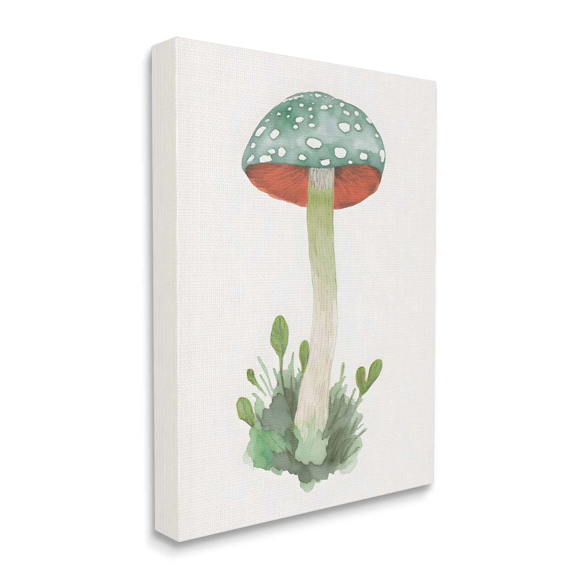 Stupell Industries Spotted Watercolor Mushroom Botanical & Floral Painting Gallery Wrapped Canvas Art Print Wall Art, 16 x 20