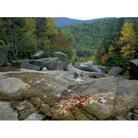 Fall Foliage, Appalachian Trail, White Mountains, New Hampshire, USA Print Wall Art By Jerry & Marcy