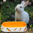 thumbnail image 2 of tredstone Non Slip Rabbit Feeder Bowl Feeding Basin for Hedgehog Gerbils Puppy Kitten 19cmx8.3cmx4.2cm, 2 of 9