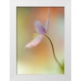 thumbnail image 1 of Westum, Heidi 18x24 White Modern Wood Framed Museum Art Print Titled - Tender spring, 1 of 4