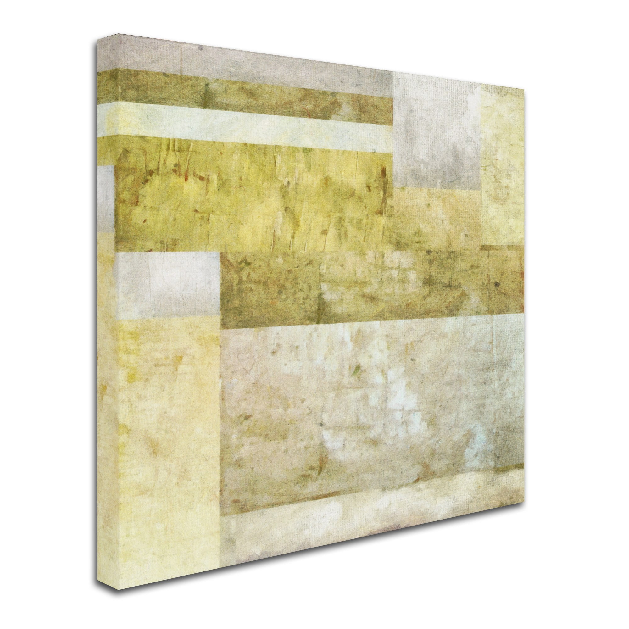 Trademark Fine Art "Neutral Study 2.0" Canvas Art by Michelle Calkins