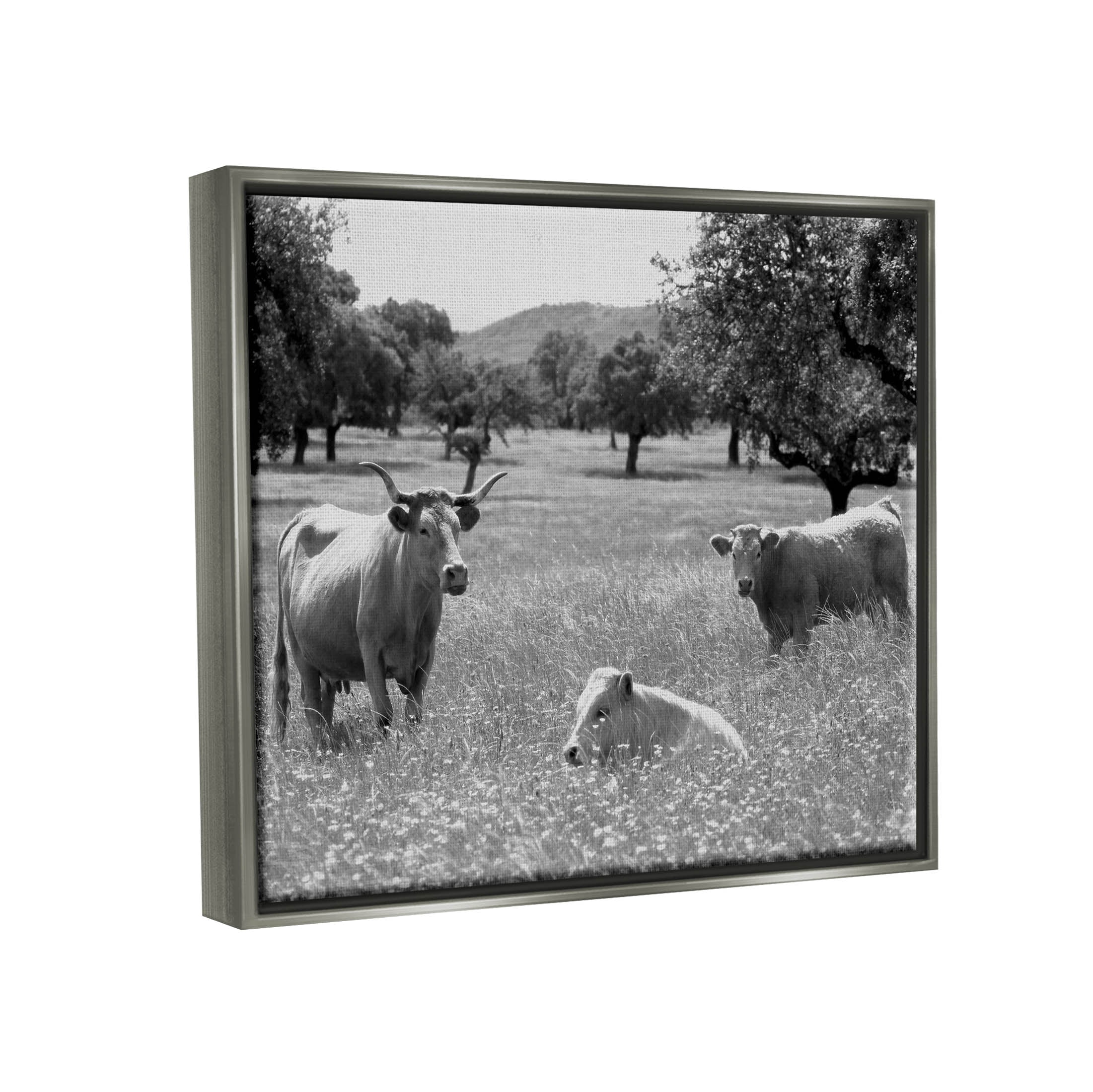 Stupell Industries Countryside Meadow Cattle Photograph Luster Gray Floating Framed Canvas Print Wall Art, Design by Daphne Polselli