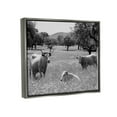 thumbnail image 3 of Stupell Industries Countryside Meadow Cattle Photograph Luster Gray Floating Framed Canvas Print Wall Art, Design by Daphne Polselli, 3 of 6