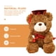thumbnail image 3 of KAKOWELY Oso de peluche de graduación, oso de peluche encantador, oso de graduación, regalo, 3 of 4
