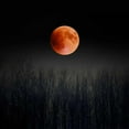 thumbnail image 3 of Telik, Tracey 20x20 Black Modern Framed Museum Art Print Titled - Blood Moon, 3 of 5