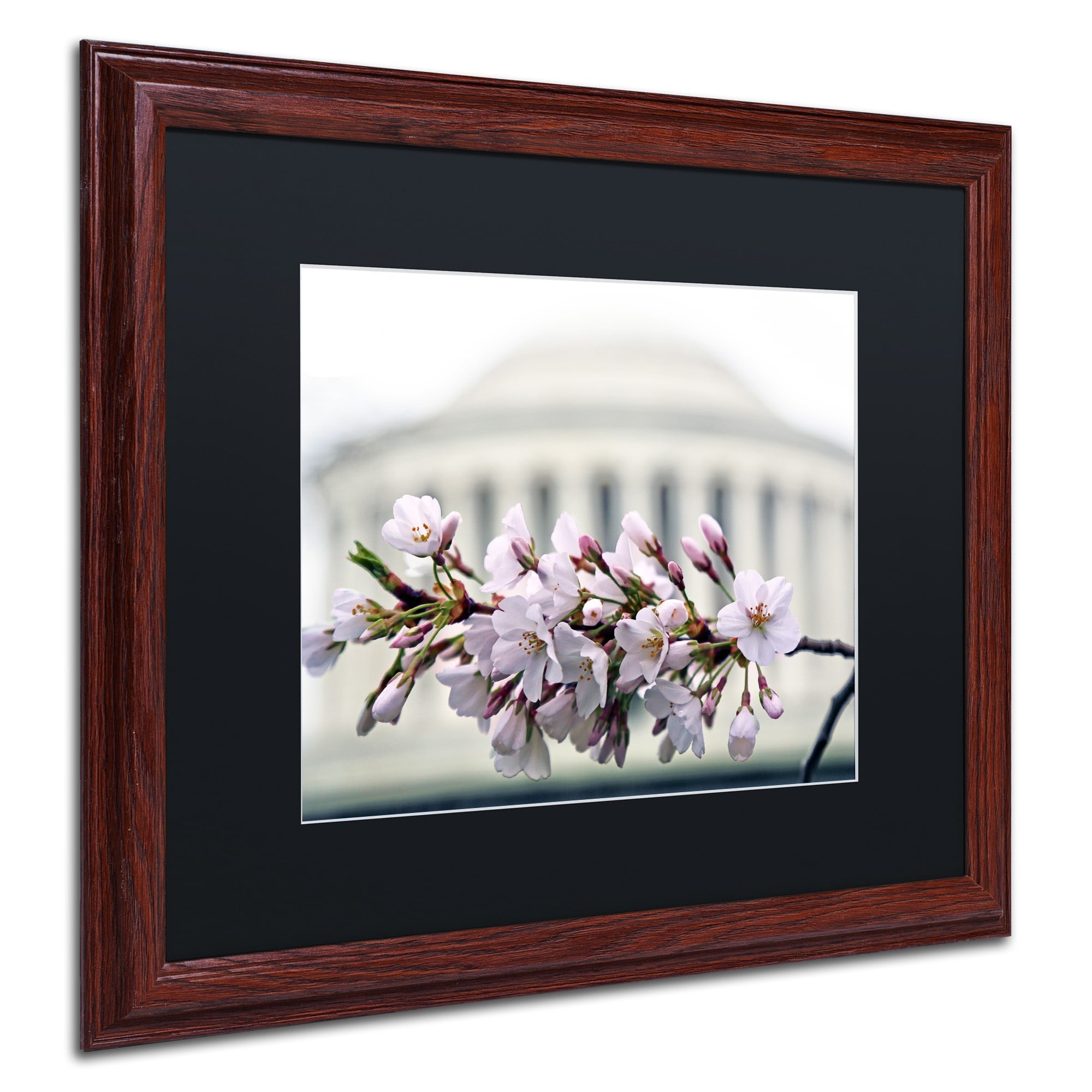 Trademark Fine Art "Jefferson Memorial Blossoms" Canvas Art by CATeyes, Black Matte, Wood Frame
