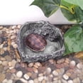 thumbnail image 2 of de Reptiles Alimentos Y Agua Esquina Suministros Tazón Reptil Tipo 1, 2 of 6