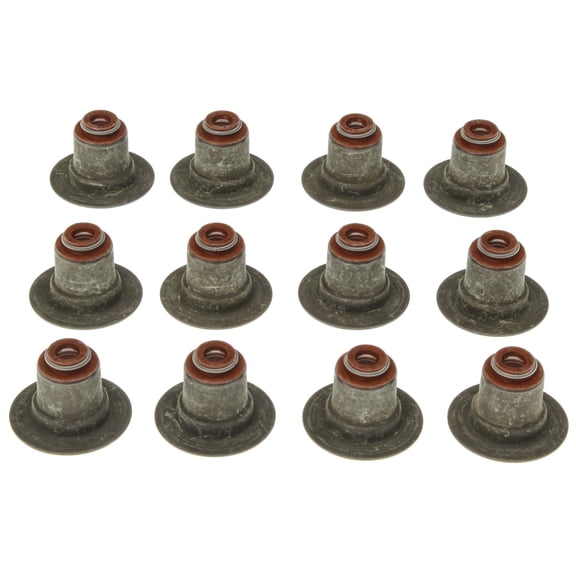 Mahle Engine Valve Stem Oil Seal Set SS45861