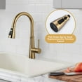 thumbnail image 5 of Wowow 3-Function Sprayer Pull Down Kitchen Faucet Spray Head Replacement with 9-Adapter Kit in Gold, 5 of 5