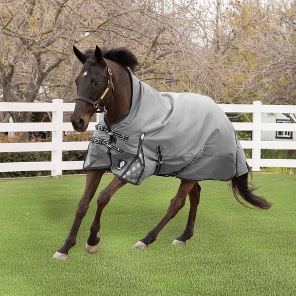 Equinavia Arktis Extended Neck Light Weight Turnout Blanket 100g