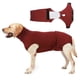 thumbnail image 1 of Traje de recuperación para perros con 2 piezas de pañales Recuperación de cirugía de pañales yeacher Camiseta de recuperación, 1 of 8