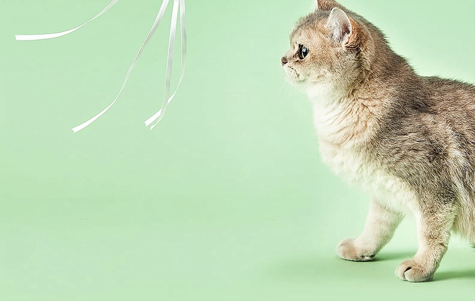 Instachew Cat Bingo Stick Toy, White