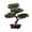 Matsubara, variant on Artificial Bonsai Tree Decor, Corner Accent for Home Desk & Shelf Display