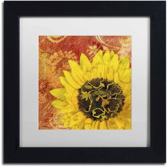 Trademark Fine Art 'Sunflower - Love of Light' Canvas Art by Cora Niele, White Matte, Black Frame