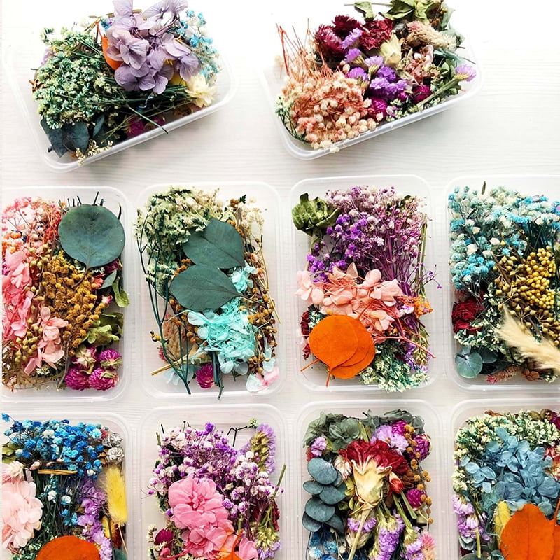 1Box Real Pressed Dried Flowers For Art Craft Resin Pendant Jewellery Making DIY 