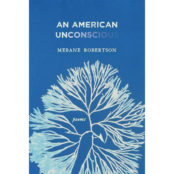 An American Unconscious (Paperback)