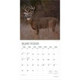 Monster Bucks 2026 12x24" (Hanging) Monthly Square Wall Calendar
