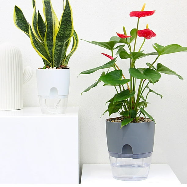 Pot de fleurs en plastique d'intérieur, 15.3 / 10.5 / 8.2cm auto - arrosage  pot de fleurs