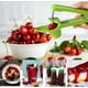 thumbnail image 2 of Cherry Pitter - Cherry Stoner Remover with Stainless Steel Rod, Olive Pitter/Cherry Pip Remover/Dates pitting, 2 of 4