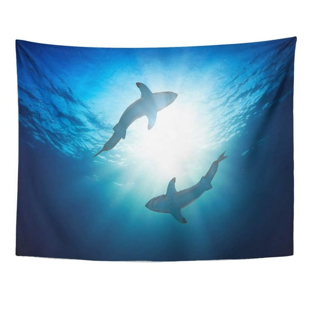 Water Living RoomBedroom Wall Art Sea Marine Life Home Decor Ocean Printable Poster Abstract Shark Digital Print Silhouette