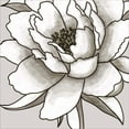 thumbnail image 2 of Great Art Now Peony I by Elizabeth Tyndall, Canvas Wall Art, 24W x 24H, 2 of 2