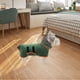 thumbnail image 4 of Albornoz para perros, , cálido, de secado súper rápido, microfibra, accesorios para cachorros, toalla de baño suave, toalla de secado, - XS Sunnimix bata de baño, 4 of 8