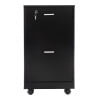 thumbnail image 6 of Lavish Home 2-Drawer File Cabinet with Lock and Rolling Wheels (Black), 6 of 10