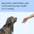 thumbnail image 4 of Wisdom Panel Breed Discovery Dog DNA Testing Kit, Most Accurate Dog Breed Identification, Test for 430+ Breeds, MDR1 Health Test, Ancestry, Relatives, 4 of 9