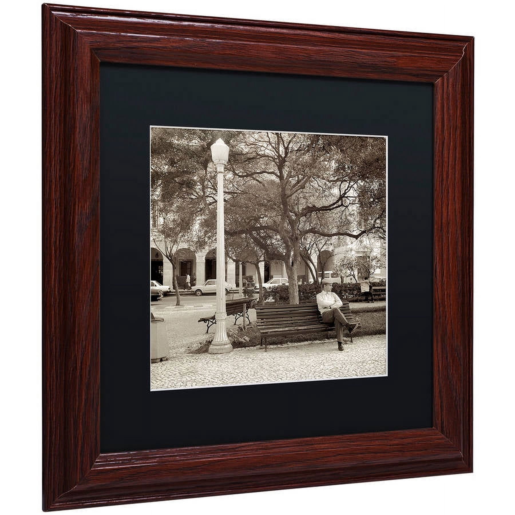 Trademark Fine Art "Faro I" Canvas Art by Alan Blaustein, Black Matte, Wood Frame