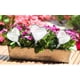 thumbnail image 4 of 6 bolas de riego grandes - 25x10cm Bolas de riego de plantas de corazón Plantas en macetas Bolas de riego de PVC de autorriego Bolas de riego para plantas de vacaciones para riego medido TUNC Sencillez, 4 of 5