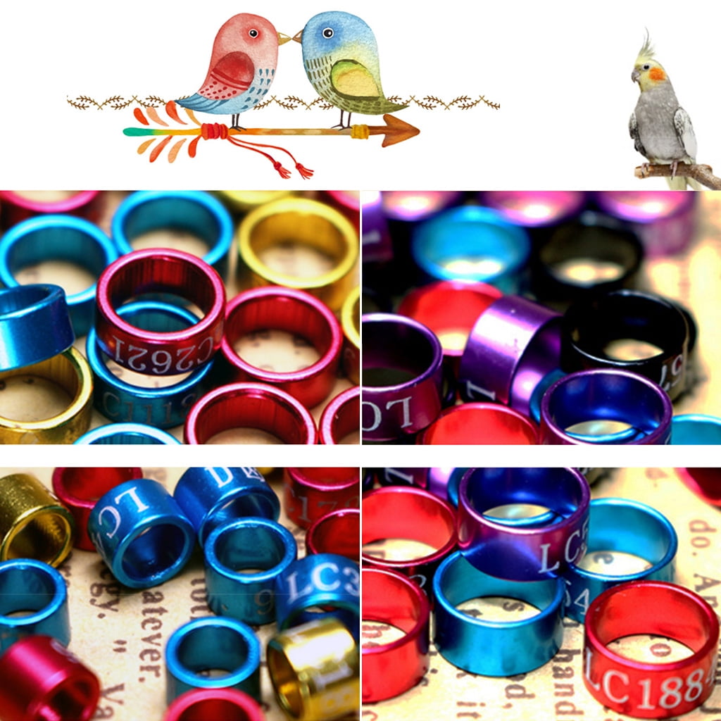HONBAY 200pcs Mix Color 8mm Foot Ring Bands Bird Clip on Leg Rings for Pigeon Dove Chicks Bantam Quail Lovebirds Finch Small Poultry Chicken 