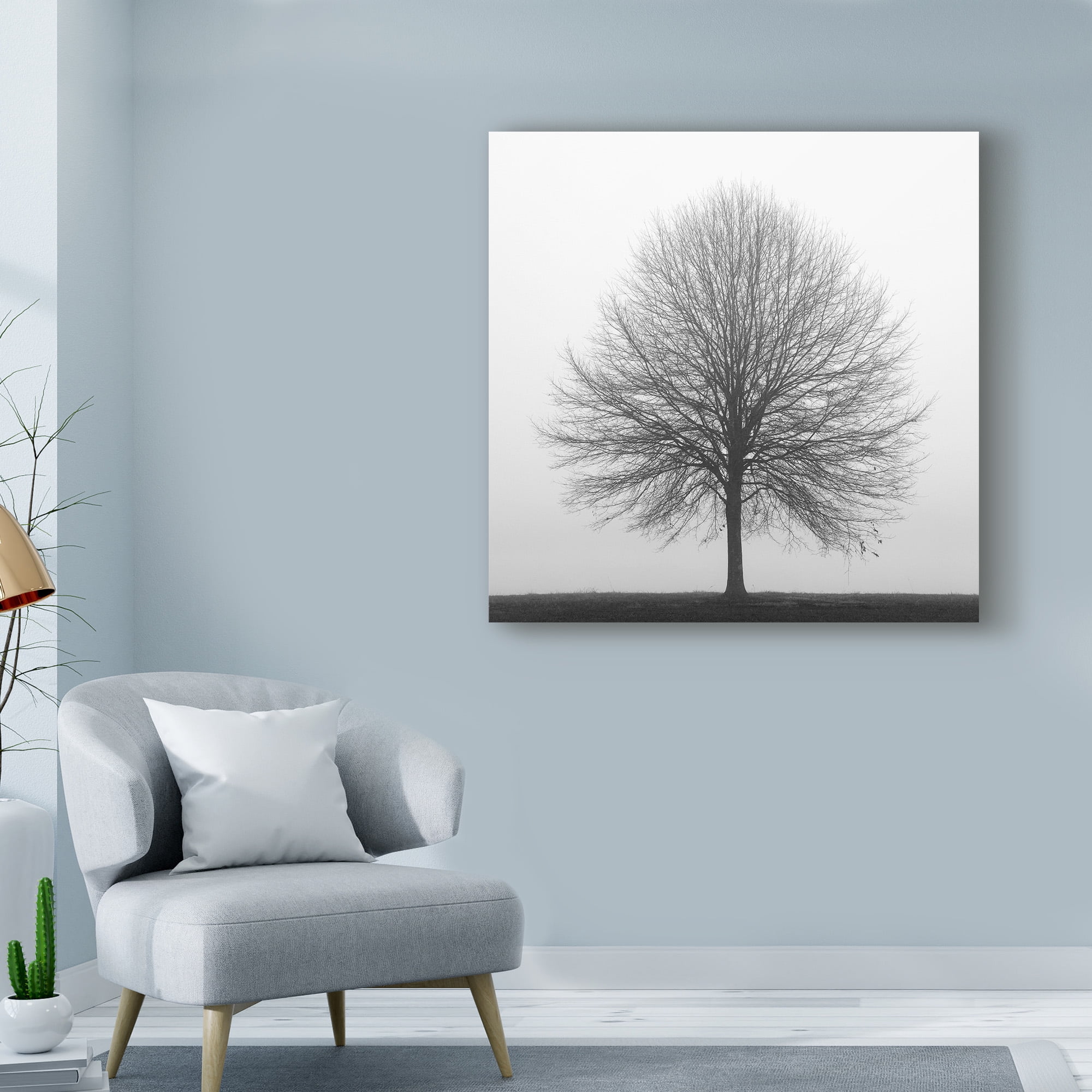 Trademark Fine Art 'Winter Trio 1' Canvas Art by Nicholas Bell Photography