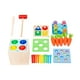 thumbnail image 1 of Juego de cosecha de zanahorias,Caja de Permanencia de Objetos Educativos Montessori,Juguete de cosecha de zanahorias Juguetes de desarrollo,Caja de juguetes de madera Montessori para, 1 of 6