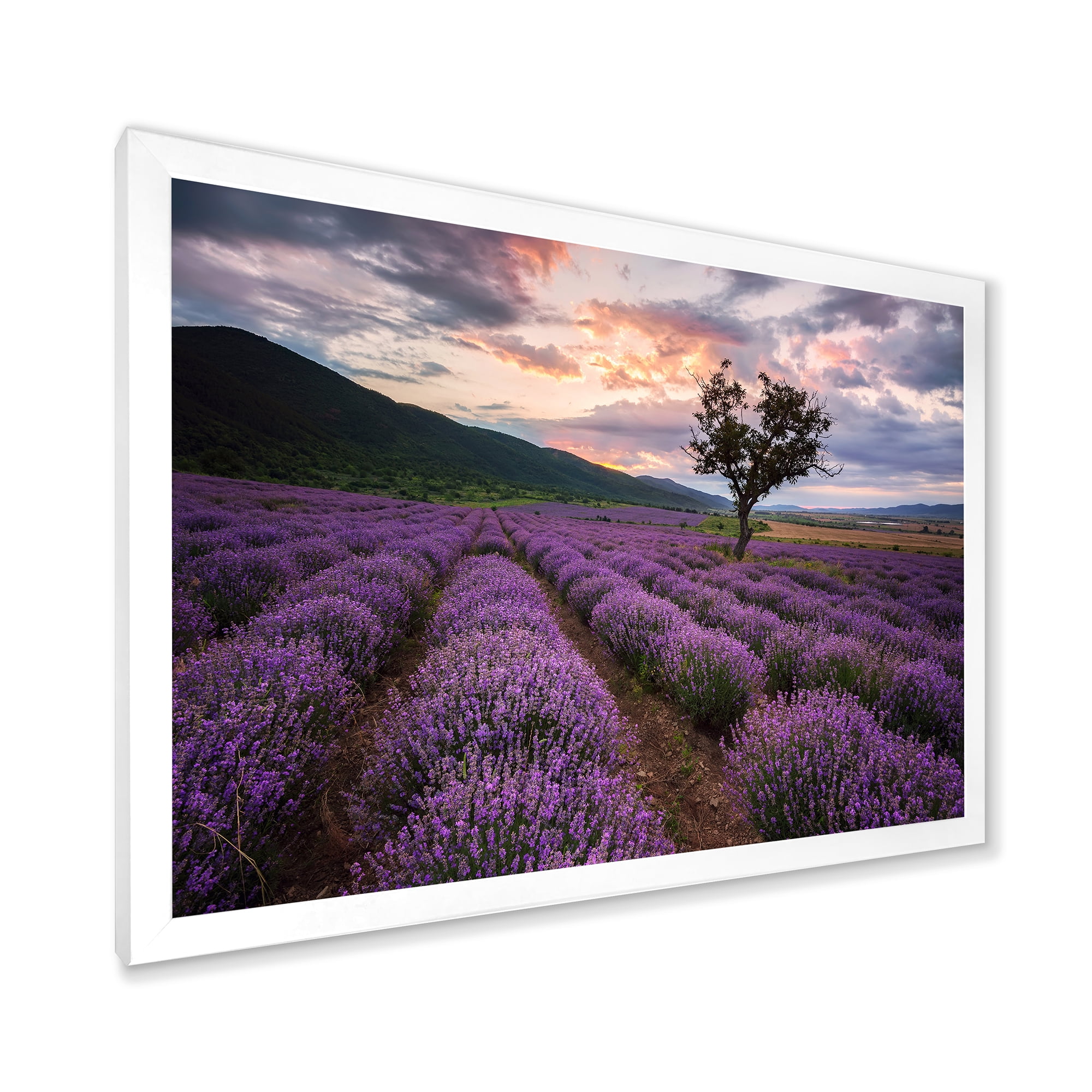 Designart 'Lavender Field At Sunrise III' Farmhouse Framed Art Print