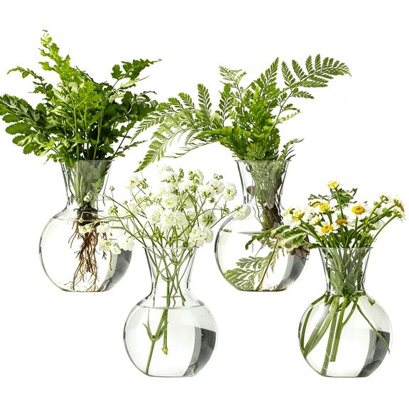 BPPEG 4Pcs Plastic Propagation Vases,Desktop Plant Terrarium for Hydroponics,Mini Bud Vases for Indoor Home Office Desk Decor