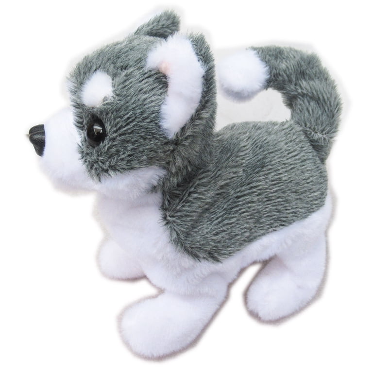 One Walking Sounding Baby Pubby Husky Sennenhund Cattle Dog