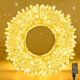 thumbnail image 1 of Cadena de luces WASTROYAL de 30 m, 300 LED, blanco cálido, resistente al agua, 1 of 8