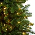 thumbnail image 4 of Nearly Natural South Carolina Fir Artificial Christmas Tree with Clear LED Lights and Bendable Branches-Size:48 inch, 4 of 9