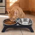 thumbnail image 6 of Elevated Stainless Steel Double Pet Bowl Large Capacity Non Slip Base Food Water Feeder for Cats Dogs, 6 of 6