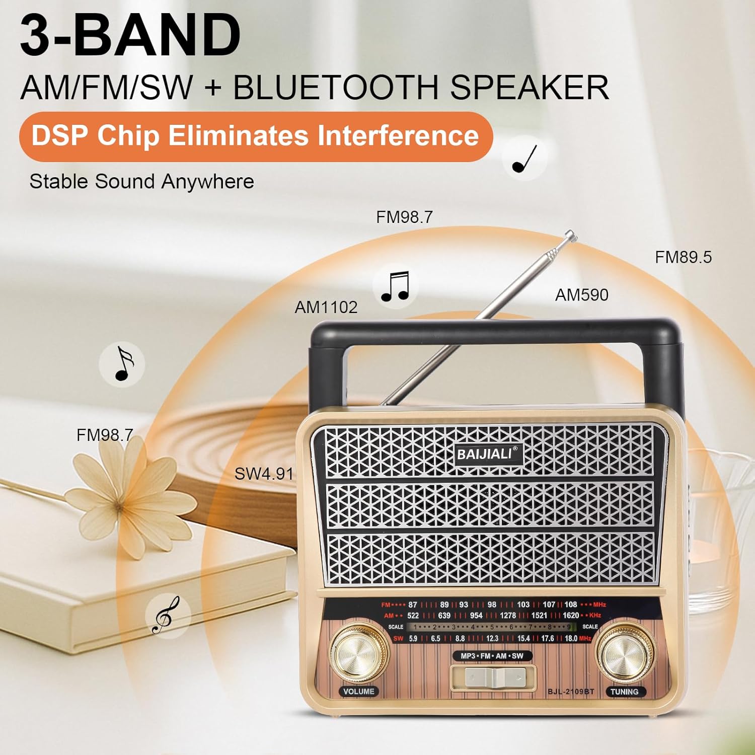 LC-dolida Portable Emergency Radio AM/FM/SW with Bluetooth LED Flashlight Dual Power Supply TF Card/USB Playback, Strong Reception Loud Sound for Home Seniors Outdoor Use